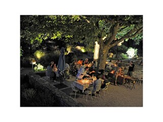 Dinner under the plane trees