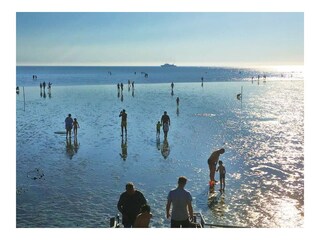 Büsumer Watt im Sommer