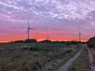 Vakantiehuis Falkenberg (Schweden)  17