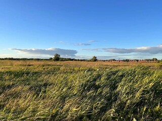 Casa per le vacanze Falkenberg (Schweden)  28