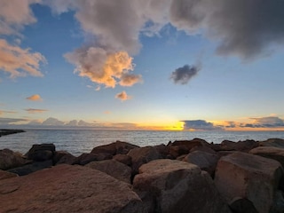 Ferienhaus Falkenberg (Schweden)  23