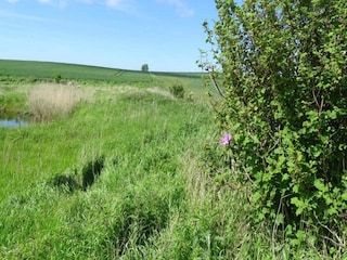 Vakantiehuis Møn  5