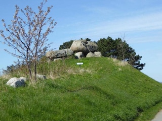 Vakantiehuis Møn  17