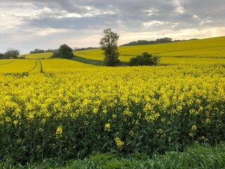 Maison de vacances Møn  12