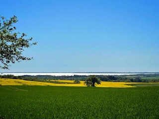 Vakantiehuis Møn  13