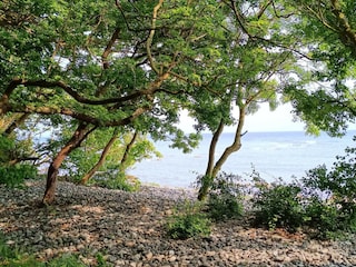 Vakantiehuis Møn  22