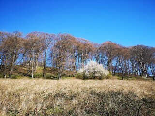 Maison de vacances Møn  34