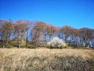 Vakantiehuis Møn  29