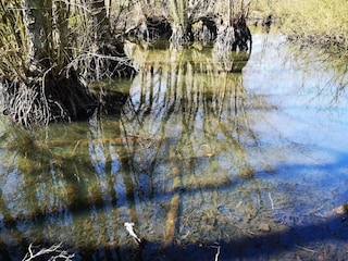 Vakantiehuis Møn  30