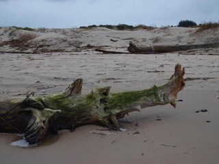 Casa de vacaciones Tversted  20