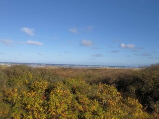 Vakantiehuis Tversted  7