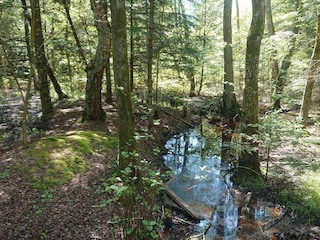 Vakantiehuis Tversted  43