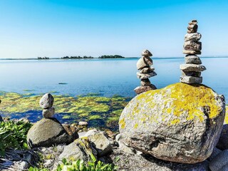 Apartment Neujellingsdorf Environment 16