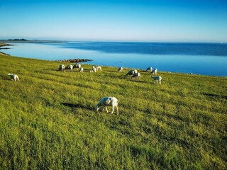 Appartamento Neujellingsdorf Ambiente 23