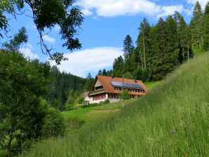 Neue Ferienwohnung Eichhörnle - Bad Rippoldsau - image1