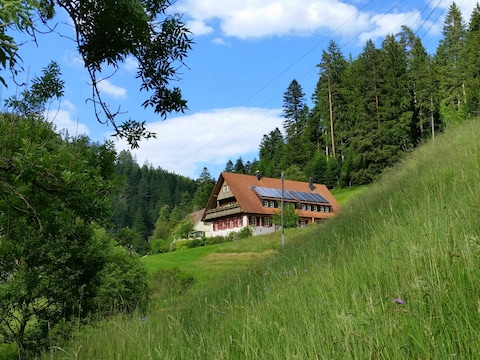 Neue Ferienwohnung Eichhörnle