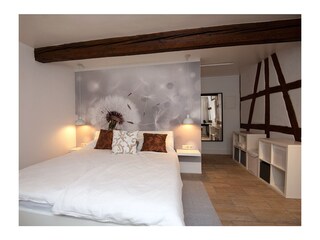 Appartamento per vacanze Suhl Caratteristiche 12