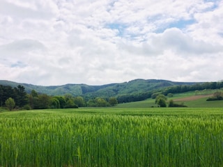 Harzlandschaft