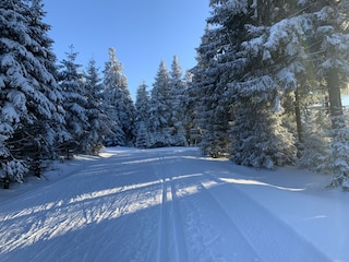 Langlauf in Altenau