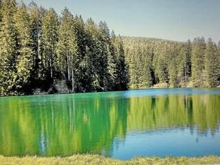 Schalker Teich im Oberharz