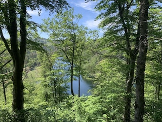 Granetalsperre im Harz