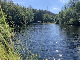 Waldschwimmbad in Altenau