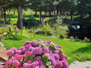 Vakantiehuis Skudeneshavn Buitenaudio-opname 15