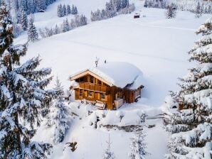 Vakantiehuis Gezellige hut met sauna en fantastisch uitzicht - Hollersbach in Pinzgau - image1