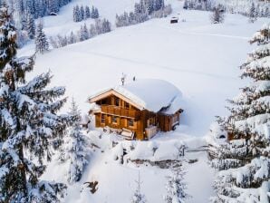 Holiday house Cosy hut with sauna and fantastic view - Hollersbach im Pinzgau - image1