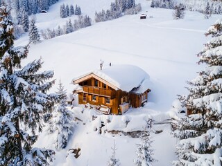 Ferienhaus Hollersbach im Pinzgau Außenaufnahme 10