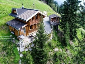 Ferienhaus Gemütliche Hütte mit tollem Ausblick - Hollersbach im Pinzgau - image1