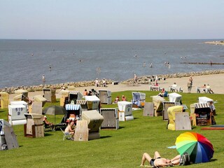 Parc de vacances Büsum Environnement 33