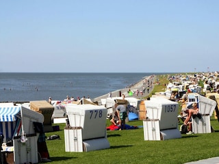 Vakantiepark Büsum Omgeving 35