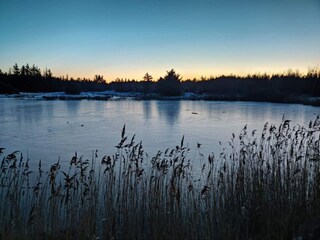 Maison de vacances Vejers Strand  22