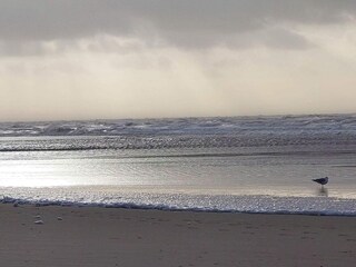 Holiday house Vejers Strand  5