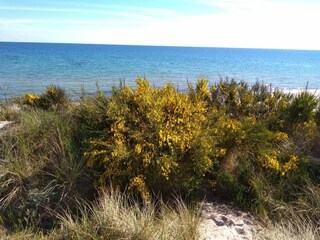 Vakantiehuis Sømarken  10