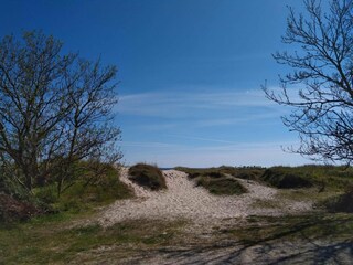 Ferienhaus Sømarken  20