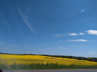 Vakantiehuis Sømarken  11