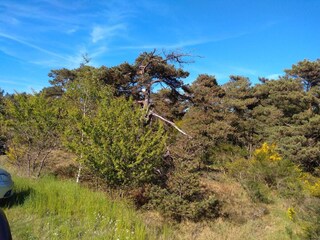 Vakantiehuis Sømarken  12