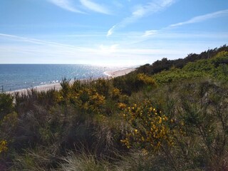 Vakantiehuis Sømarken  15