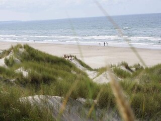 Vakantiehuis Blokhus  21