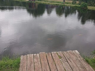 Casa de vacaciones Hovborg  42