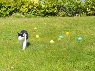 Ferienhaus Aabenraa Außenaufnahme 1