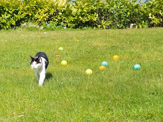 Vakantiehuis Aabenraa Buitenaudio-opname 1