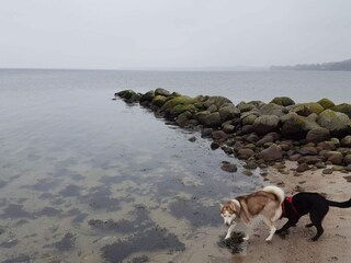 Holiday house Aabenraa  39