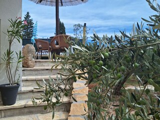 Villa Škrip Buitenaudio-opname 1