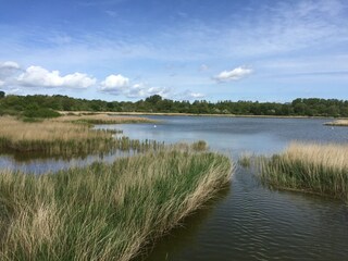 Bodden
