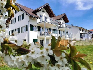 Casa de vacaciones Wasserburg am Bodensee Grabación al aire libre 5
