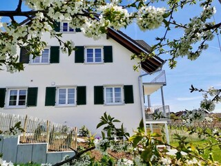 Casa de vacaciones Wasserburg am Bodensee Grabación al aire libre 6