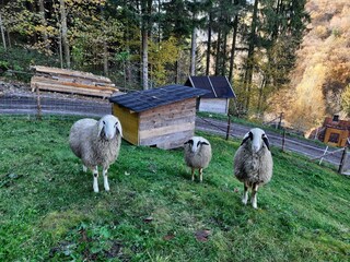 Casa per le vacanze Twimberg Registrazione all'aperto 6